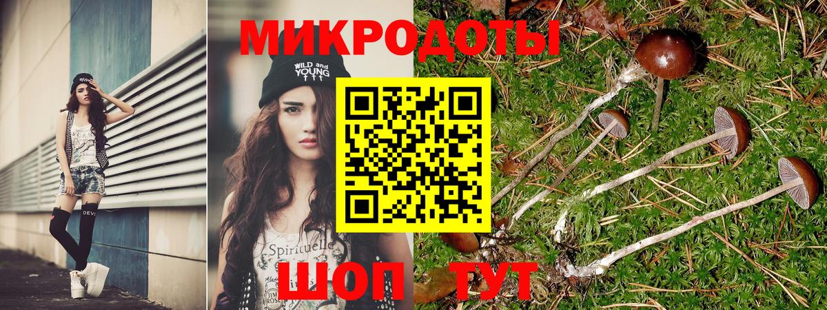 Галлюциногенные грибы ЛСД Истра